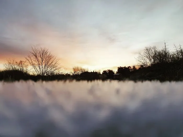 Calm Morning