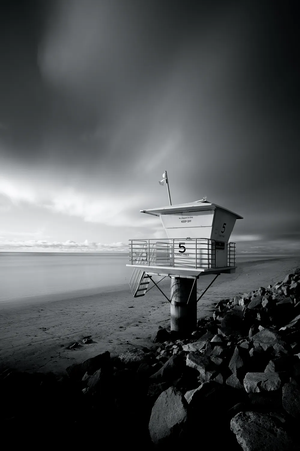 Nature In Black And White