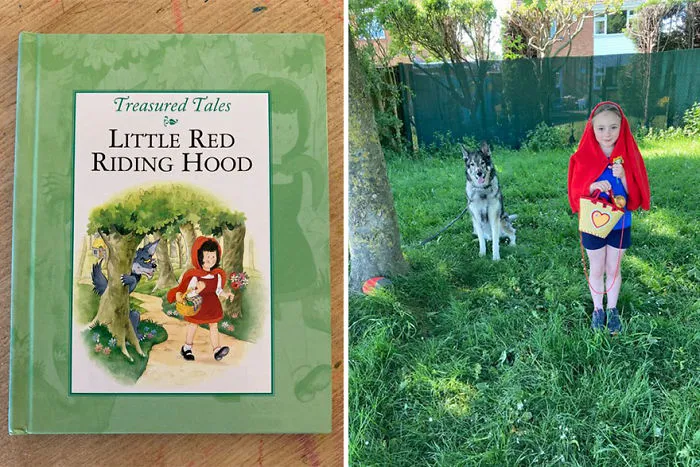 Book Cover Challenge Sweeps Over Twitter And People Share Their Efforts In Recreating Them