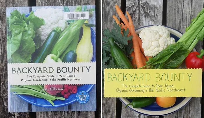 Book Cover Challenge Sweeps Over Twitter And People Share Their Efforts In Recreating Them