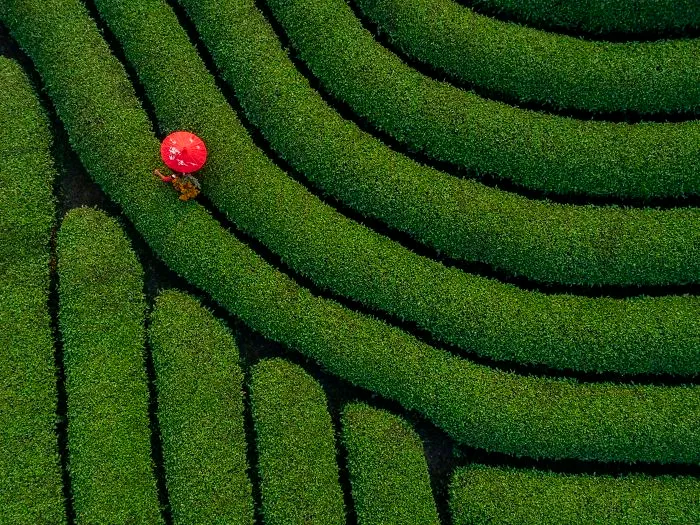 Red Umbrella