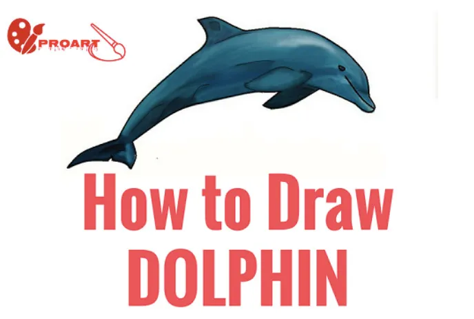 5+ Easy Step - How To Draw Dolphin