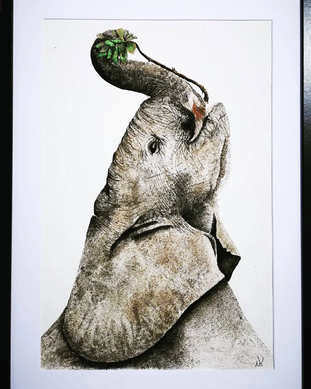 Sand Paintings In Support Of The African Elephants