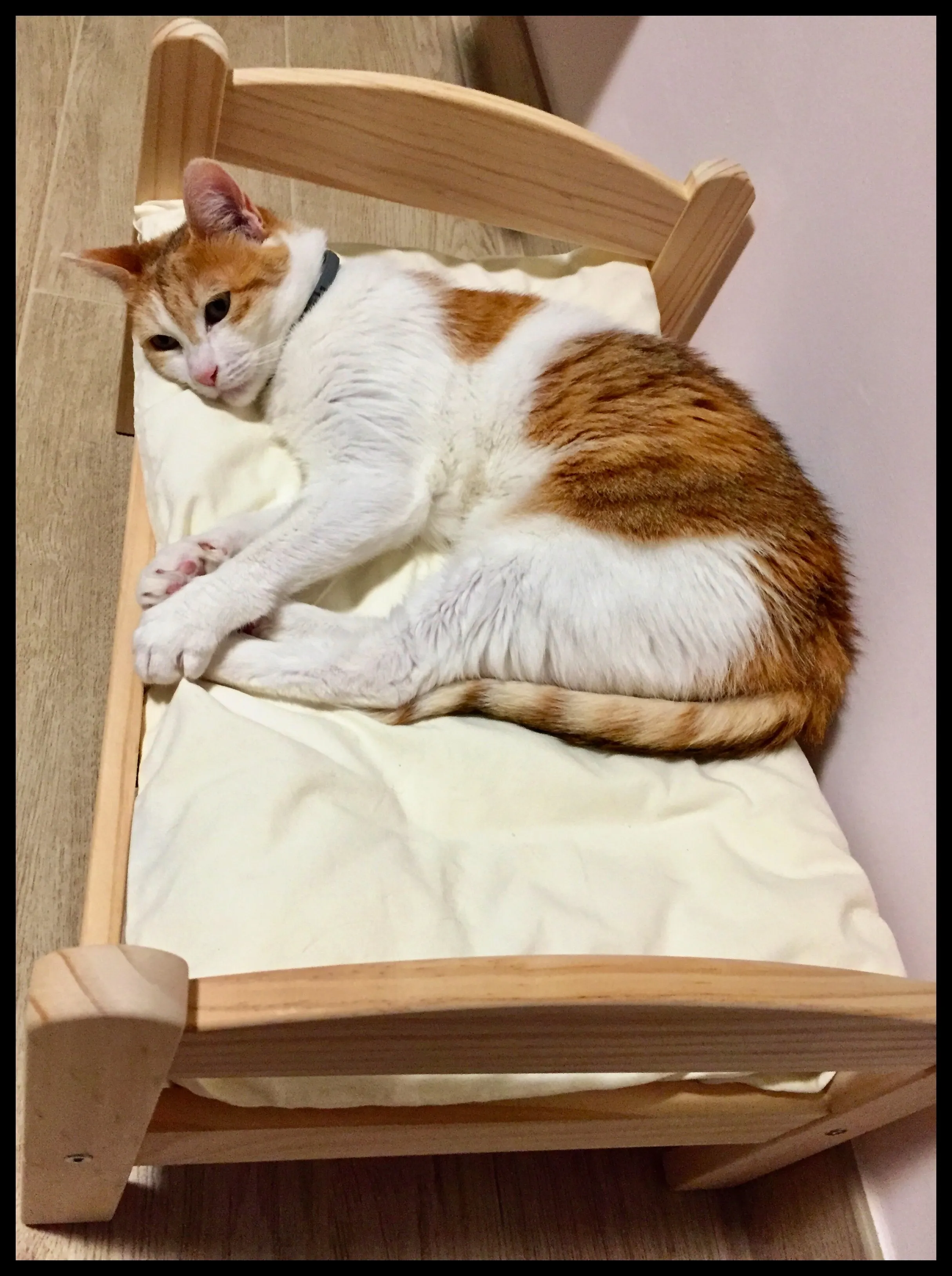 My Sufi In Her IKEA Bed