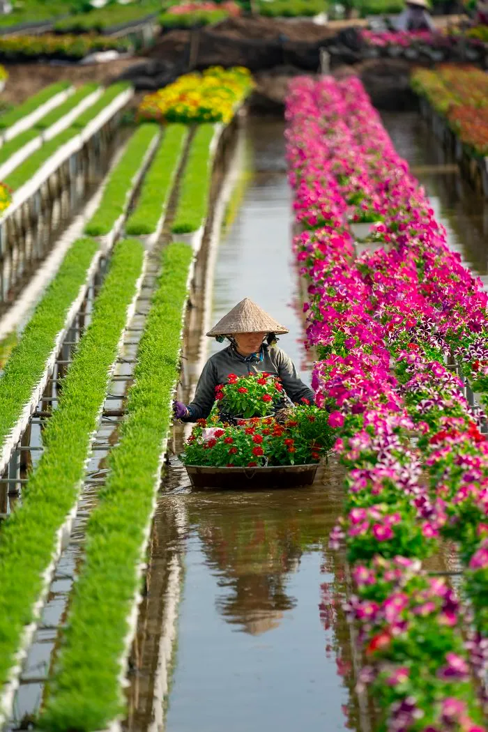 Taking Care Of Flowers