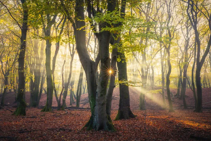 I Think The Netherlands Is The Most Beautiful Country In The World And Here Is Why (28 Pics)