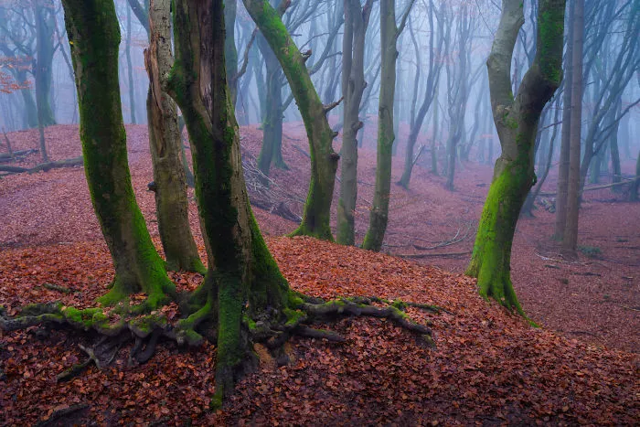 I Think The Netherlands Is The Most Beautiful Country In The World And Here Is Why (28 Pics)