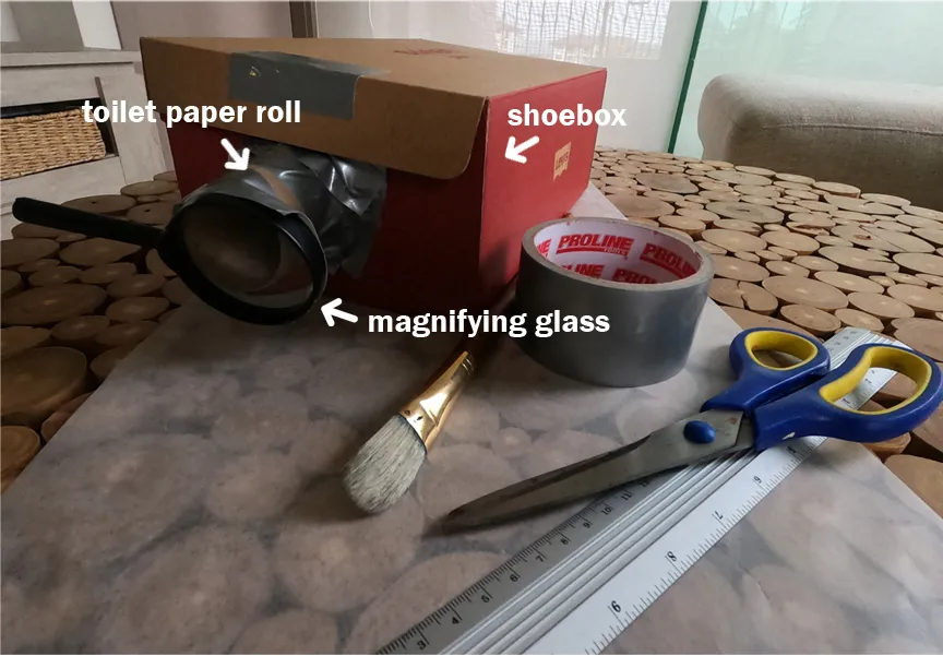 Turn Your Toilet Paper Rolls Into Something Amazing!