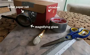 Turn Your Toilet Paper Rolls Into Something Amazing!