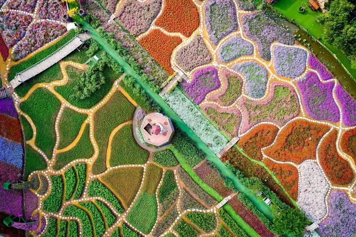 Valley Of Flowers