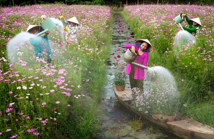 Watering Flowers