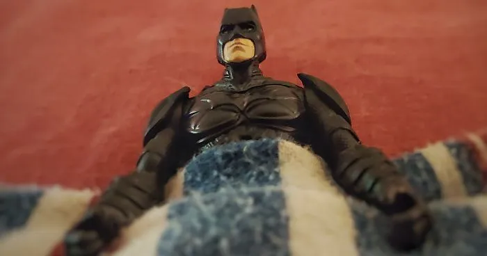 I Post The Everyday Life Of Batman During Self-Isolation (39 Pics)