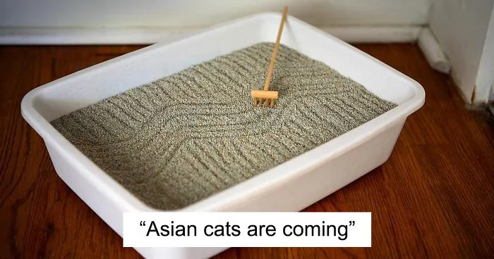 My 51 Favorite Print Ads That Use Cats In A Purrfect Way
