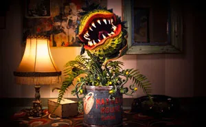 I Handcrafted Audrey 2 From “Little Shop Of Horrors” From Materials I Had At Home During The Quarantine