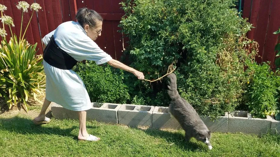 My Photoshop Battle