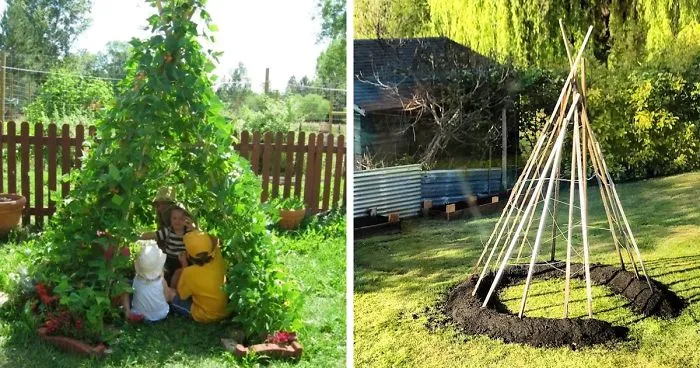People Are Growing Magical Bean Pole Garden Tents For Their Kids
