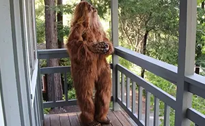 Someone Posed As Bigfoot In This $999,000 House Listing And The Photos Are Hilarious