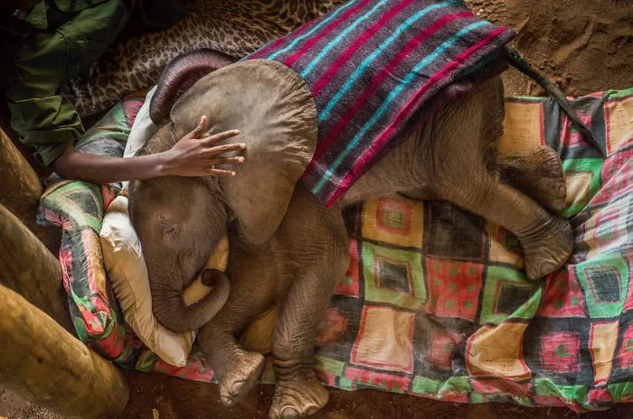 Photo Story: Coexistence: 'Guardian Warriors' By Ami Vitale