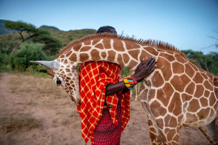 Photo Story: Coexistence, Winner: 'Guardian Warriors' By Ami Vitale