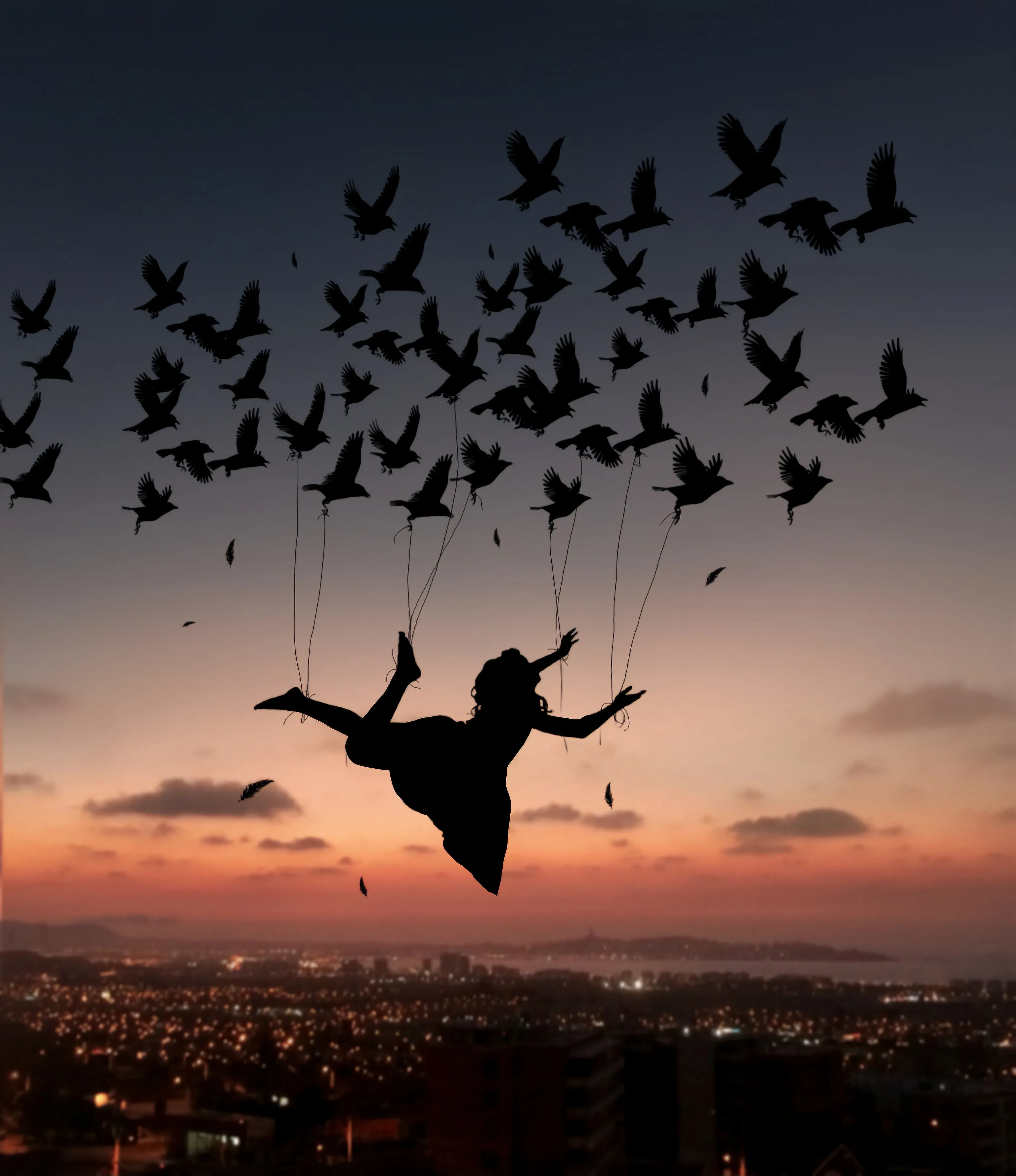 Do You Like Birds? These Are My Surreal Silhouette Works..(10 Pics)