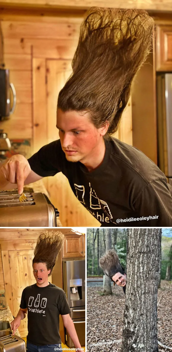 Toaster Hair