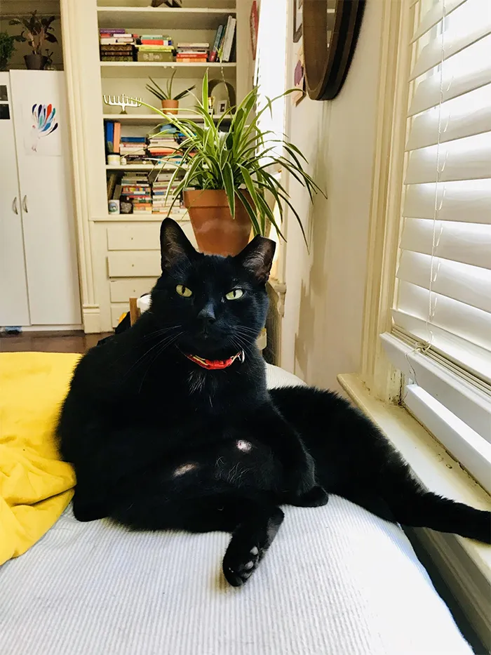 Meatloaf Mike, manspreading