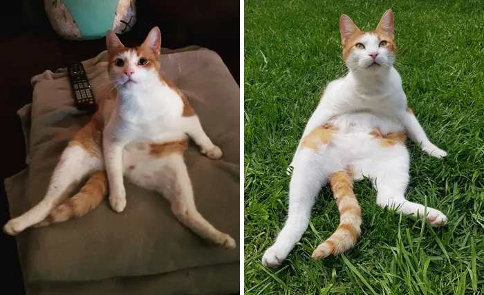 I love how awkward he looks in these pictures