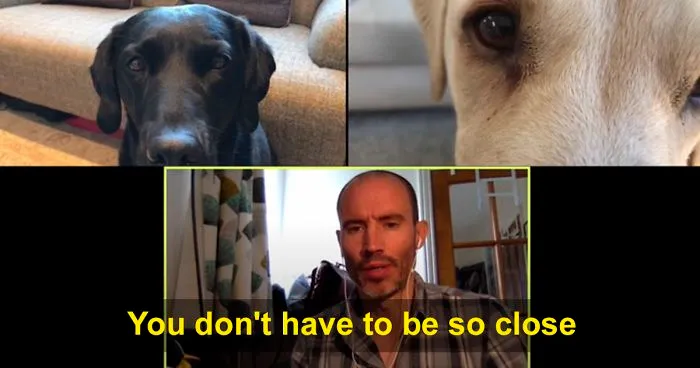 BBC Sports Broadcaster Stuck With Nothing To Report Decides To Hold A Meeting With His Two Dogs And The Video Goes Viral