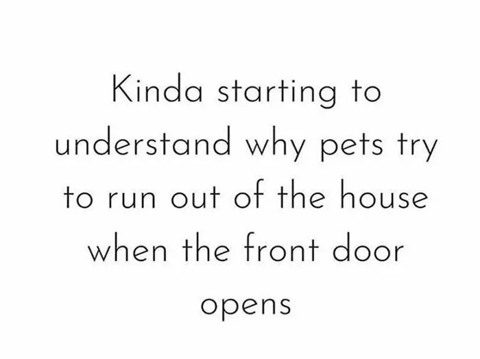 Makes Sense