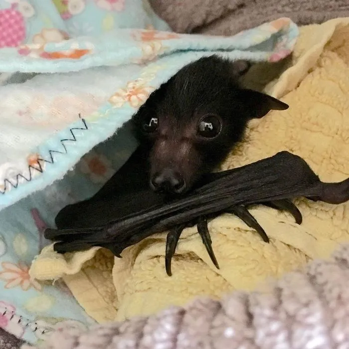 Hi There!