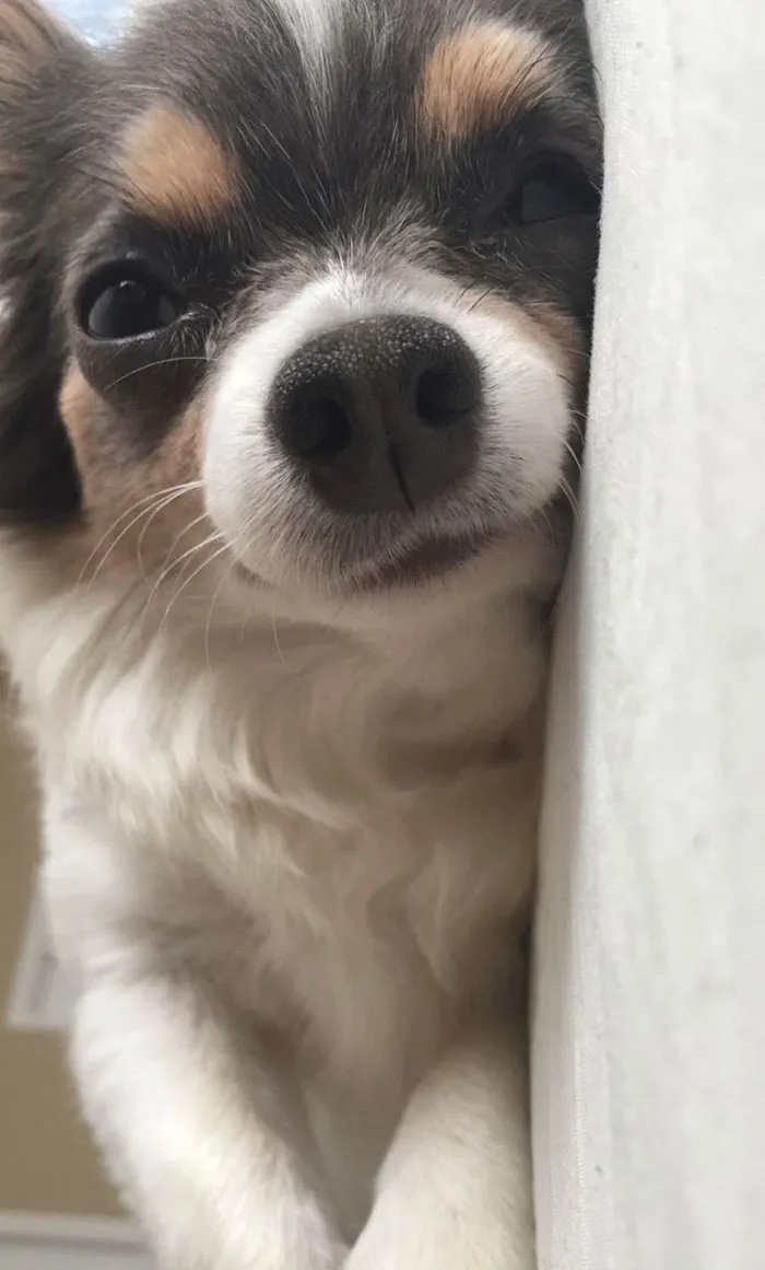 Woke Up And This Was The View Two Inches From My Face