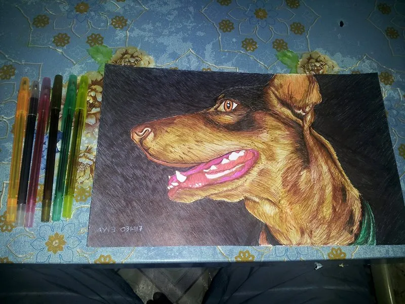 Ballpoint And Gel Pen Drawing