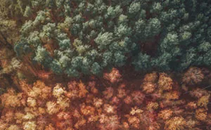 12 Earth Patterns Captured From Above With My Drone