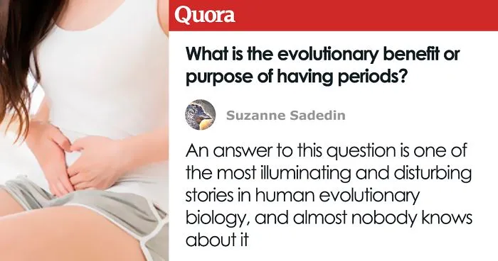 Someone Asks What's The Evolutionary Purpose Of Having Periods, And This Scientist Delivered An In-Depth Answer