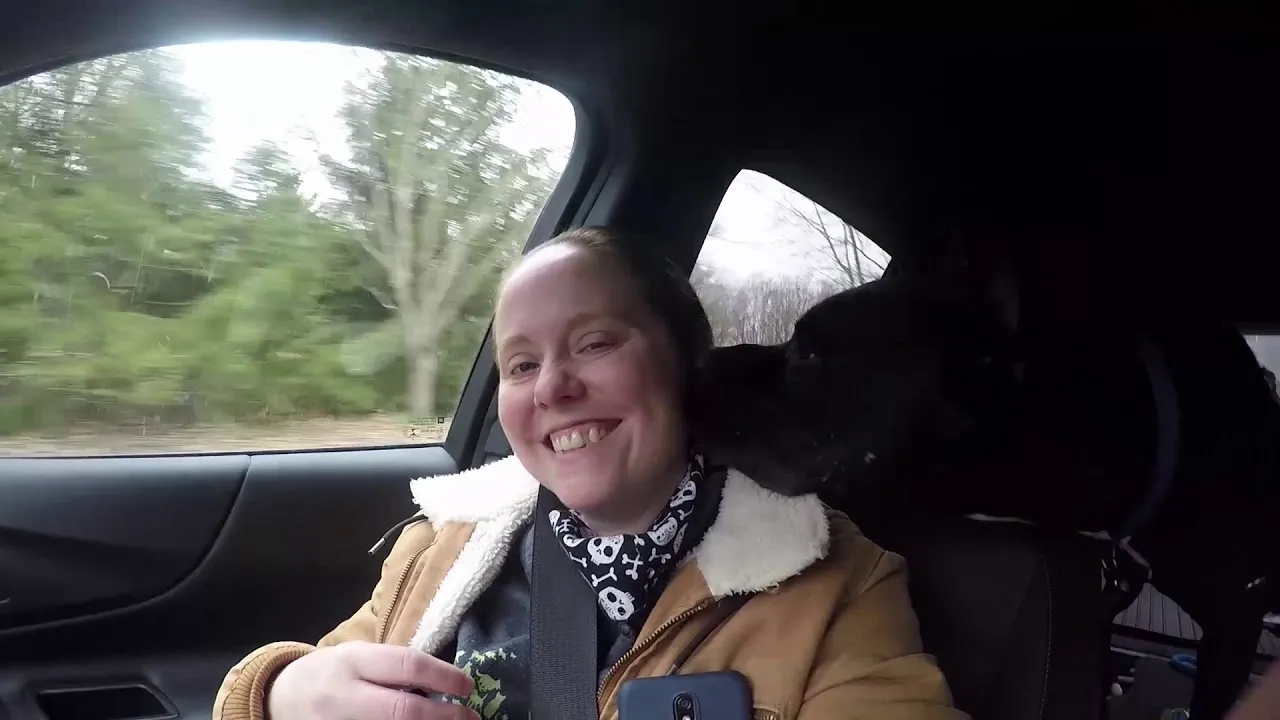 After Looking For Over Three Years, We Made A Video To Help Find Cruiser The Right Adopter!
