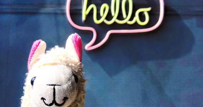 Travel The World With Instagram's Plushie Community