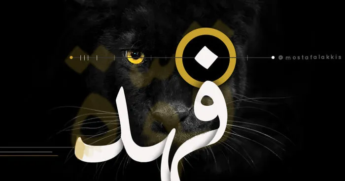 Bi Tasarrof "بتصرف"