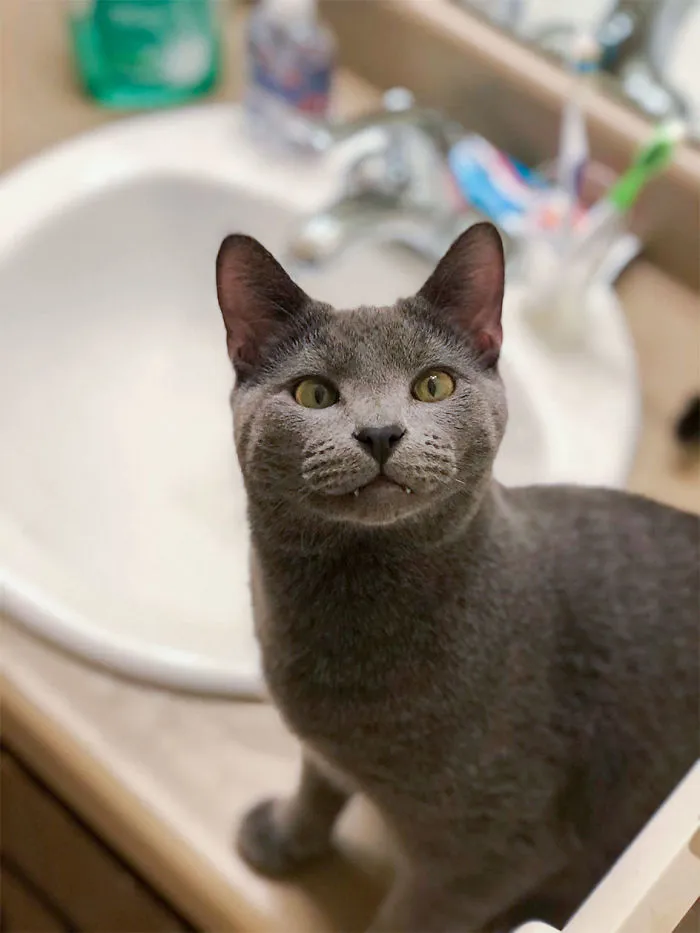 Mr. Monty