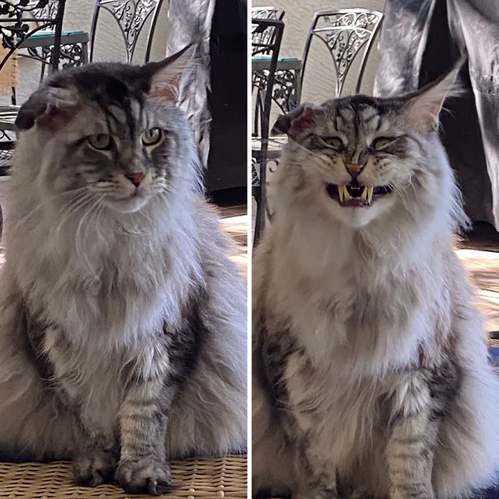Me: “Smile For The Camera”