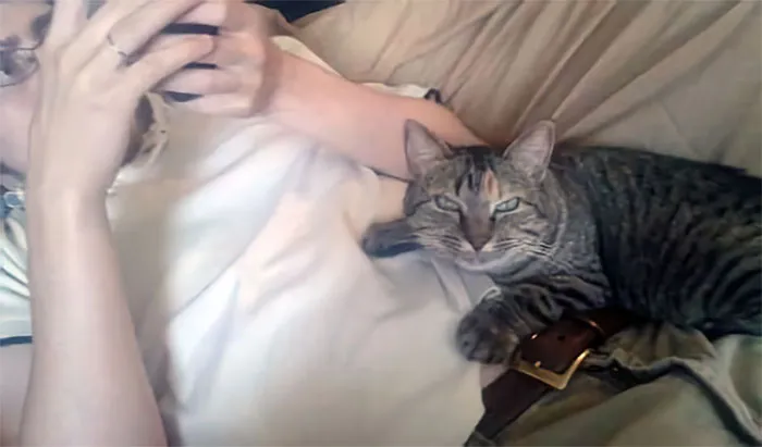 My Cat Is In Love With My Boyfriend. She Glares Every Time I Try To Sit Next To Him. He Didn't Believe Me, So I Took A Picture