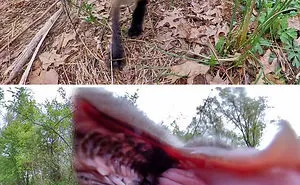 This Facebook Group Is Dedicated To Crappy Wildlife Photos That Are So Bad They’re Good (50 New Pics)