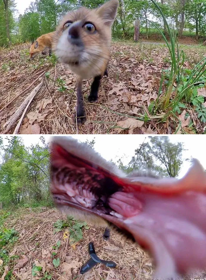 Eat Mee!