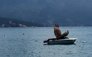 This Facebook Group Is Dedicated To Crappy Wildlife Photos That Are So Bad They’re Good (50 New Pics)