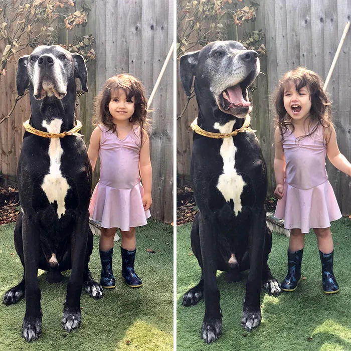 Solo Una Chica Y Su Danés