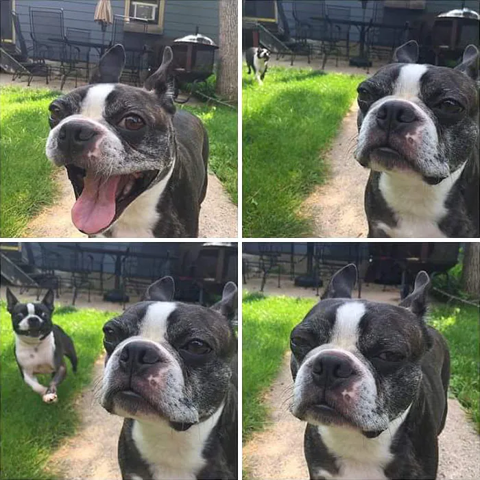 "He's A Little A***e" - Walter On Max