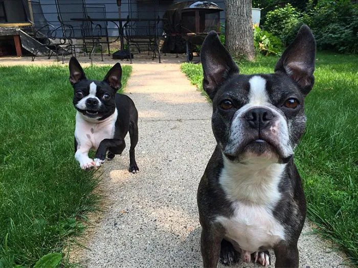 "It's Happening Again, Isn't It?" - Walter