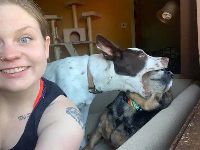 Creo que le he arruinado la vida a mi perro con otro perro
