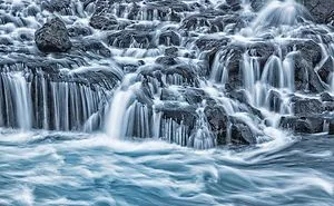 The Winning Photos From The GDT Nature Photographer Of The Year 2020 Have Been Announced And They're Beautiful