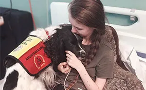 A Girl With A Disability Has The Most Adorable Helper - A Springer Spaniel Named Ted (17 Pics)