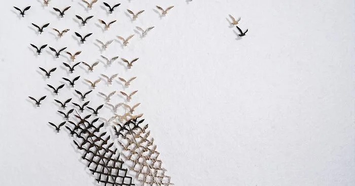 I Hand-Carve Feathers Into Intricate Designs Using Scalpels And Eye Surgery Scissors (30 New Pics)